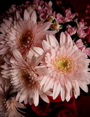 花束