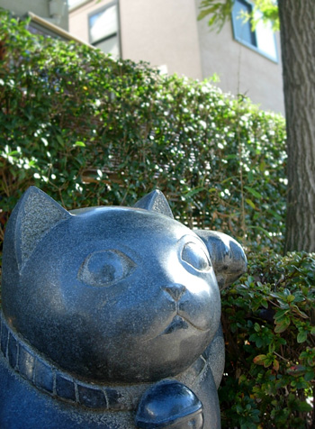 猫