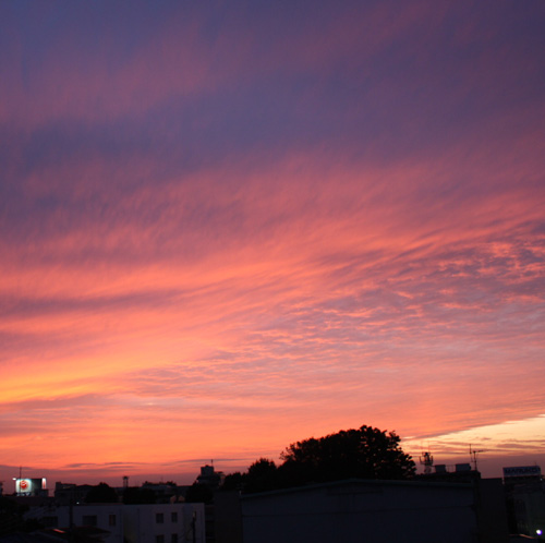 夕焼け